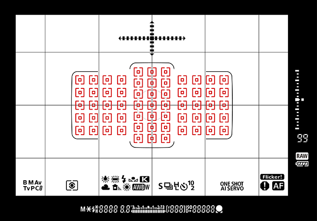 photo of Canon EOS-1D X Mark II camera's viewfinder